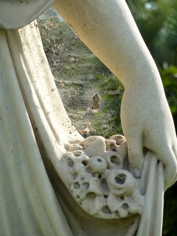 Cobweb on marble